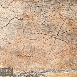 RAINFOREST BROWN VARIANT LM 5000